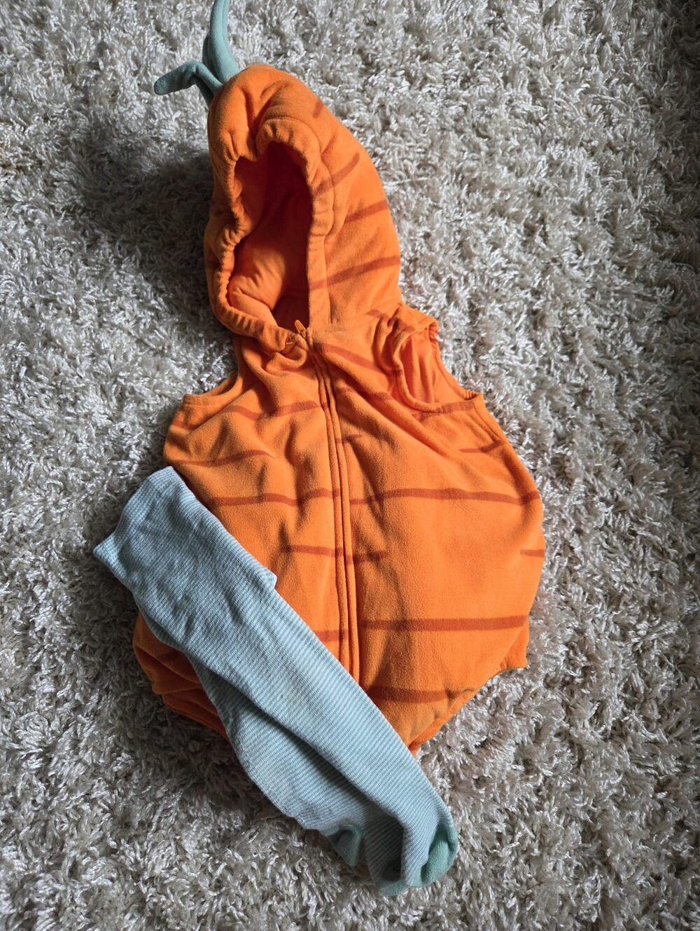 Carrot Costume